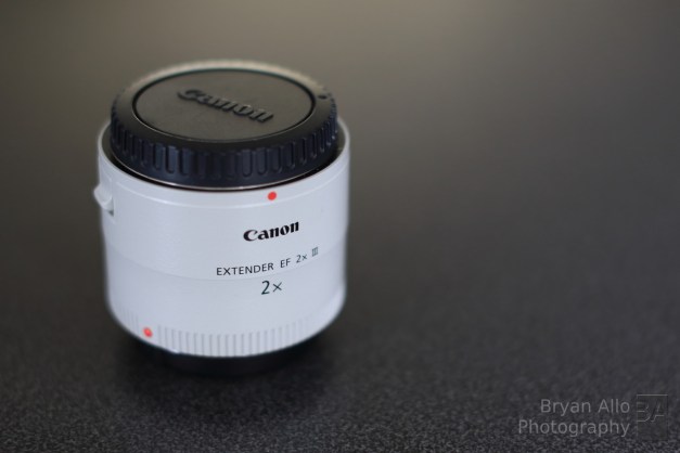Canon Extender EF 2x III