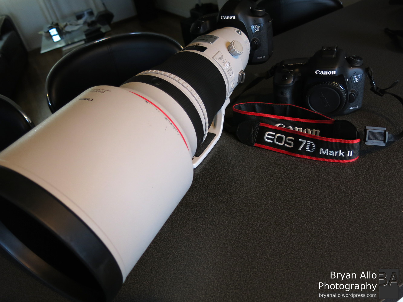 Canon EF 300mm f/2.8 L レンズ　動作確認品 Canon EF 300 L f/2.8 IS II USM