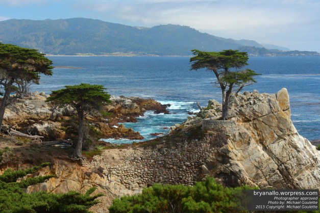 2015_MichaelGoulette_BigSur3