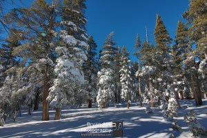 2017_laketahoe_heavenly8